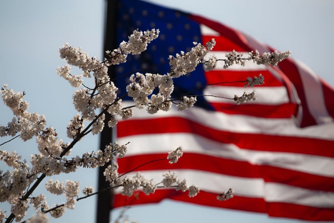 Happy 4th of July