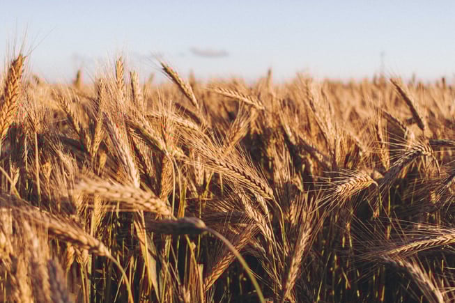 How One Pastor Decided Not To Give Up On Evangelism In His Church